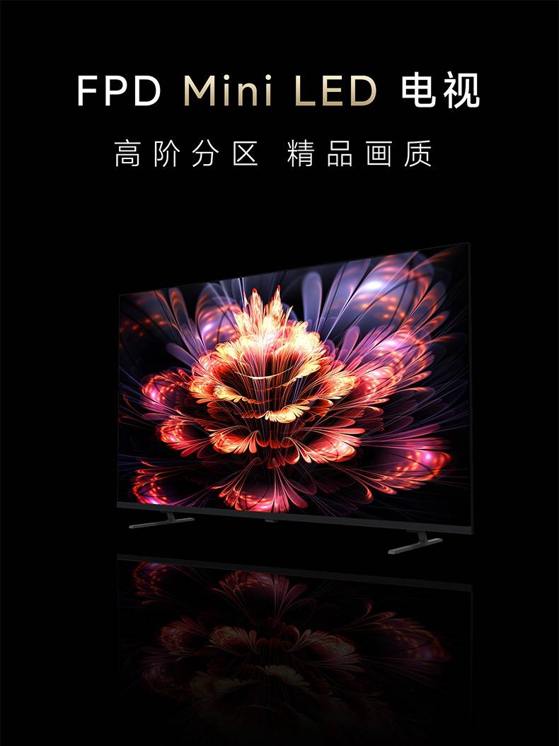 FPD Mini LED电视机